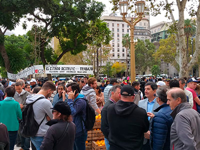 BUENOS AIRES  Frutazo en Plaza de Mayo
